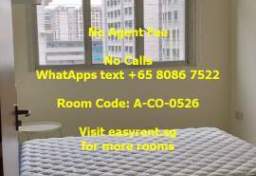 Rent In Singapore