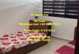 Rent In Singapore