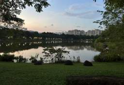 Rent In Singapore