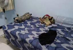 Rent In Singapore